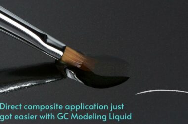 How-to-use-GC-Modeling-Liquid